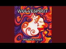 Load and play video in Gallery viewer, Dreamcatcher (Black Vinyl)